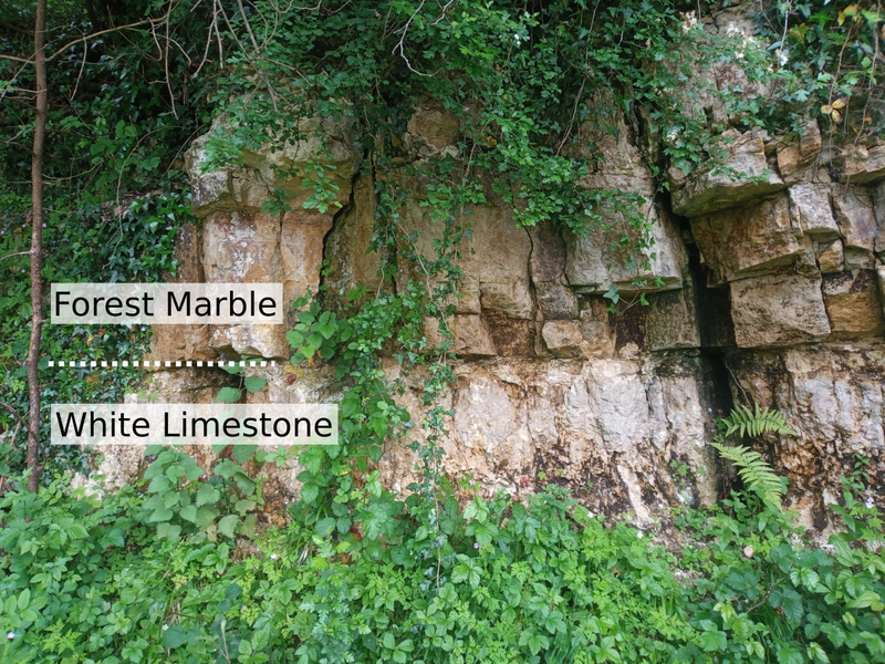 Boundary between White Limestone Formation and Forest Marble Formation