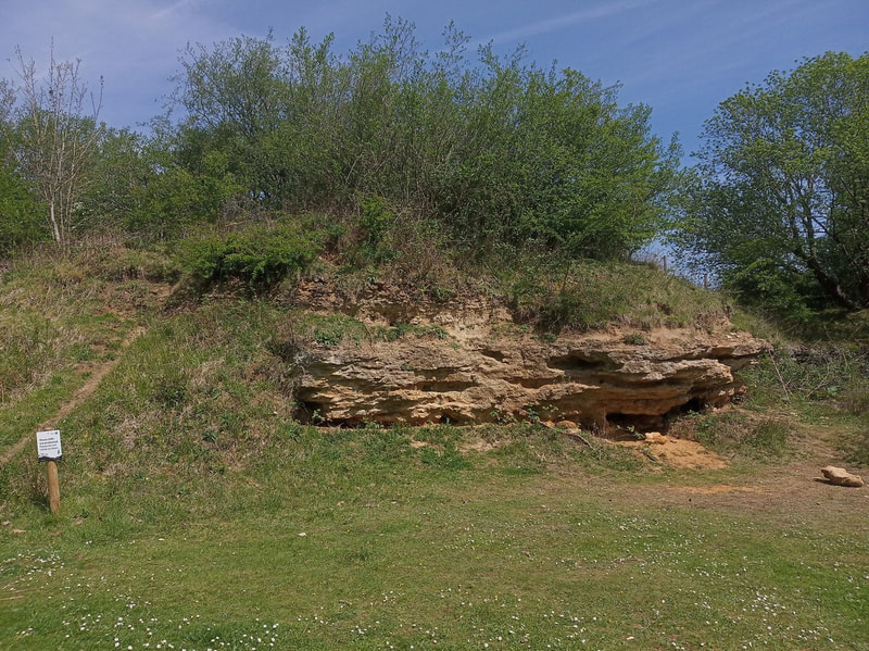 Overview of outcrop 2