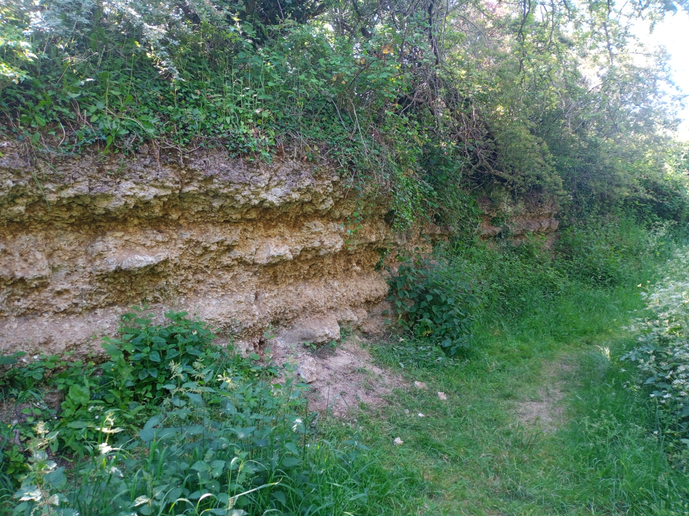 Overview of one cliff exposure at Rock Edge Quarry