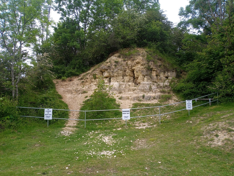 White Limestone Formation outcropping at Area 1
